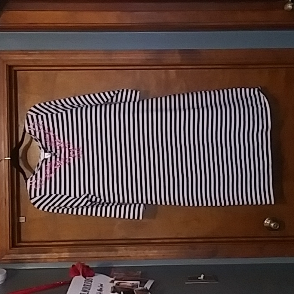 NWT Christopher and Banks dress